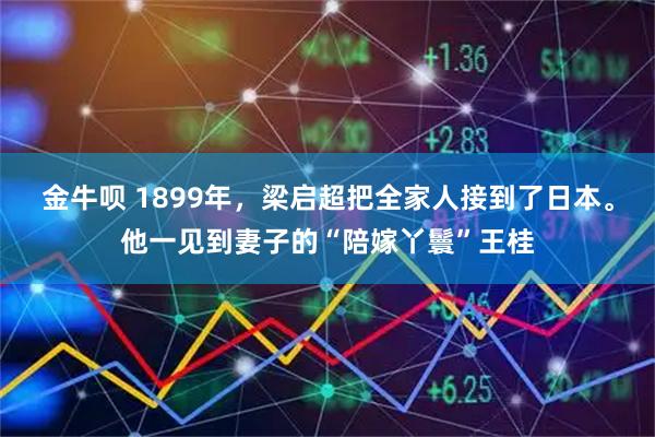 金牛呗 1899年，梁启超把全家人接到了日本。他一见到妻子的“陪嫁丫鬟”王桂
